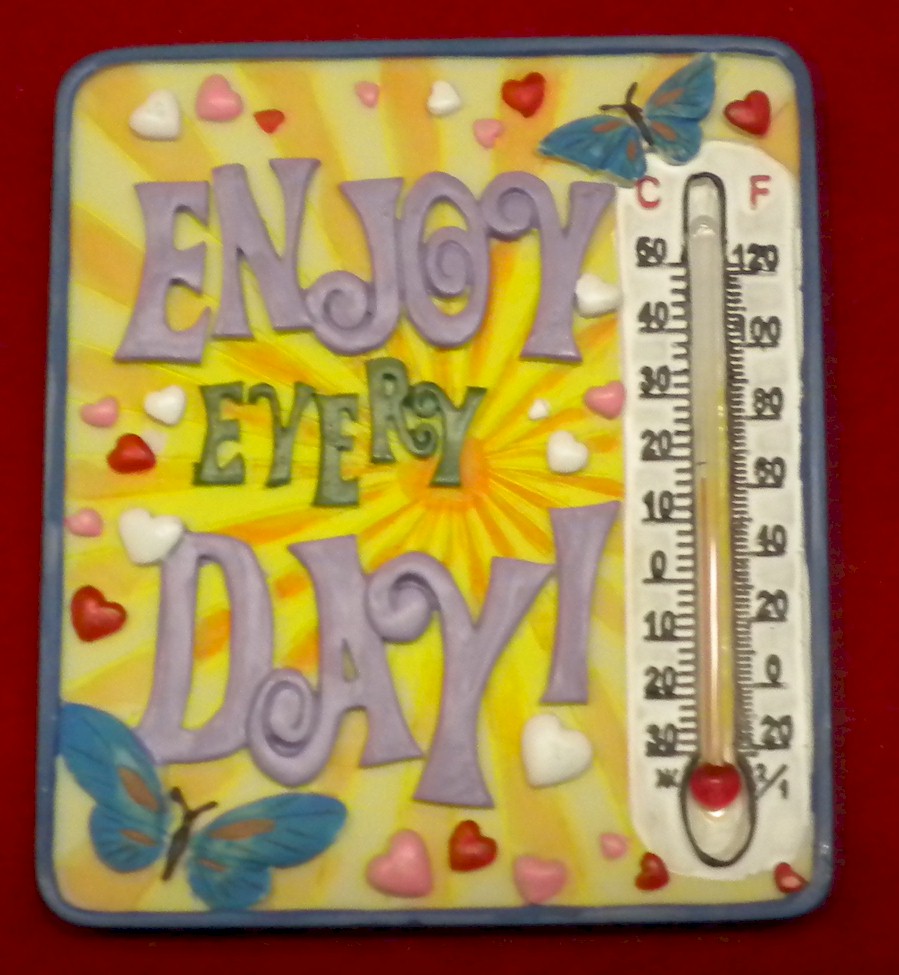 Enjoy Every Day Thermometer Magnet - Unit Of 12 - MSRP $$4.99 Each