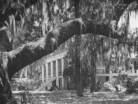 Southern Landscape