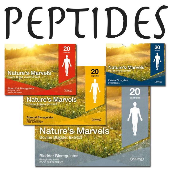 Scientific illustration for The Russian Longevity Secret: A Deep Dive into Bioregulator Peptides