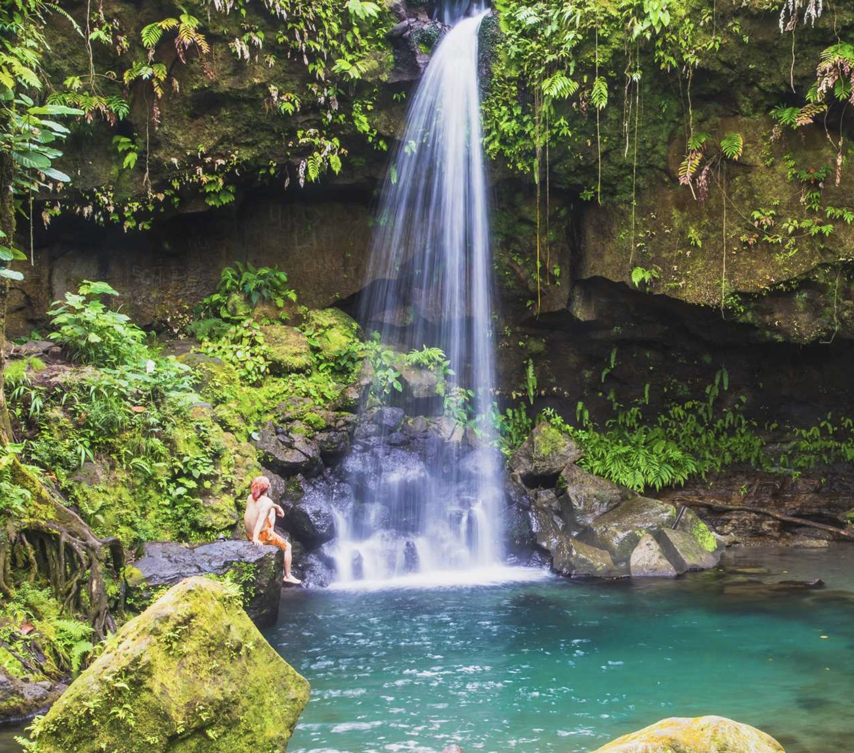 DOMINICA VIBE