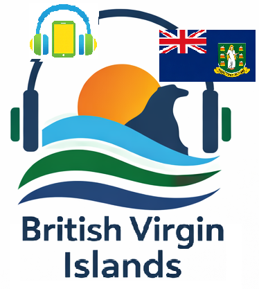 BVI VIBES