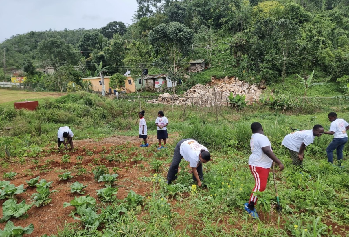 Sowing Seeds Of Success: Linton Park Primary & Infant School, St. Ann, Jamaica 