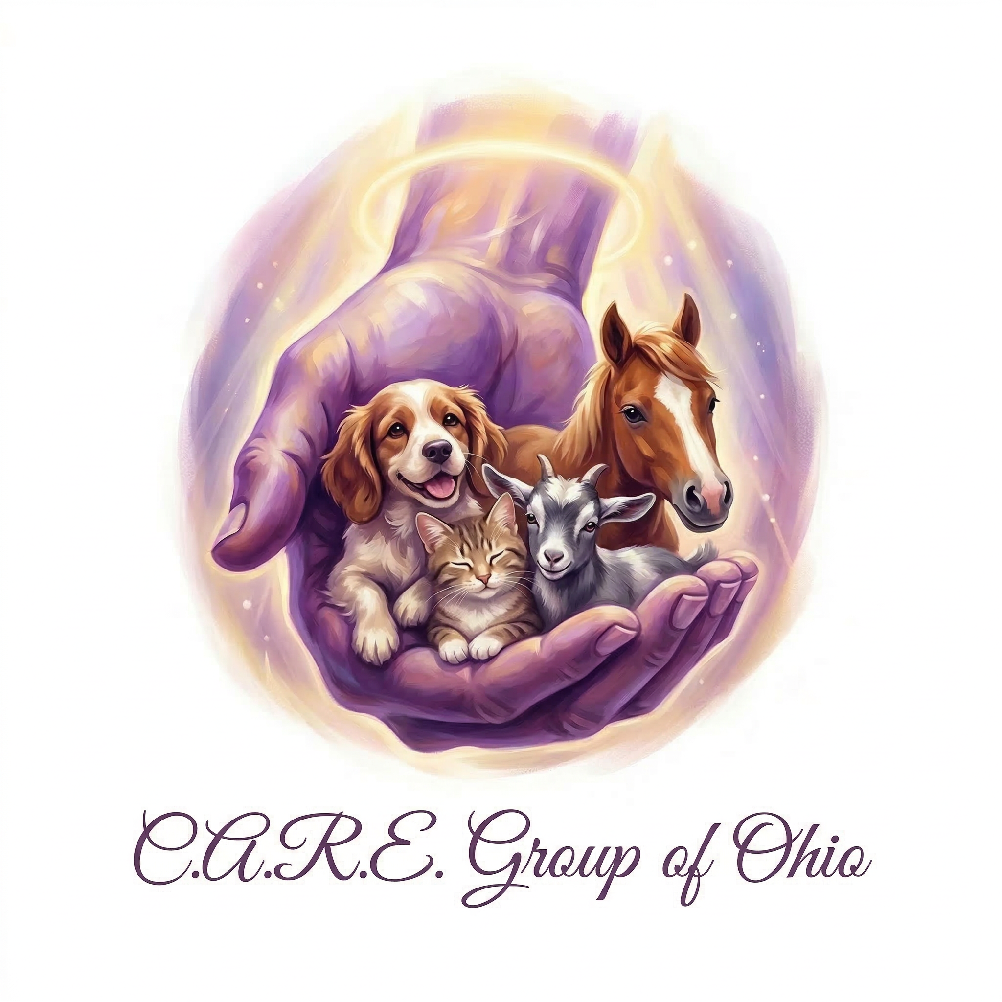 C.A.R.E. Group of Ohio Logo