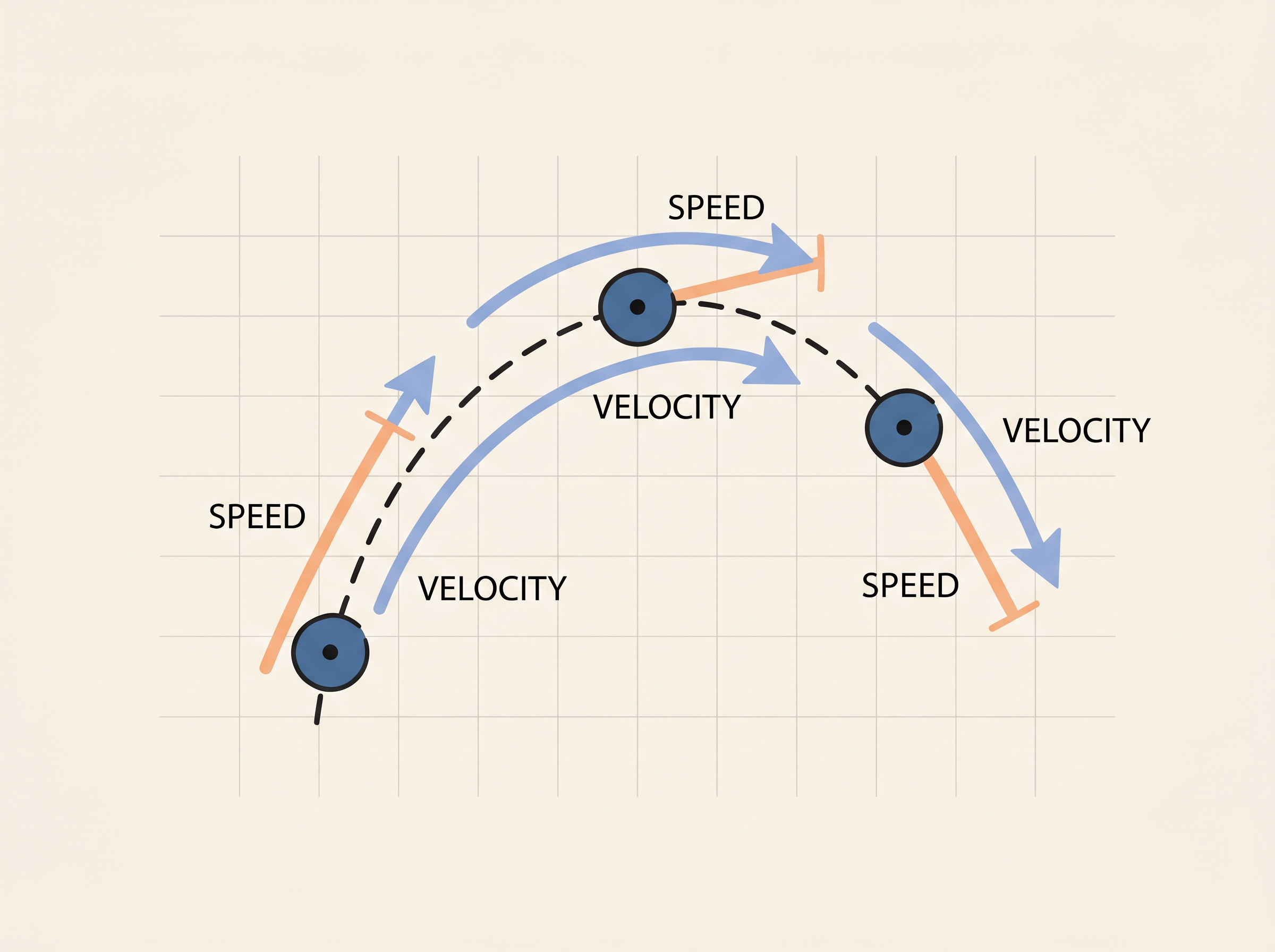 Speed vs Velocity: Why Direction Matters (Scalar vs Vector, Examples, Unit Conversions & Exam Tips)