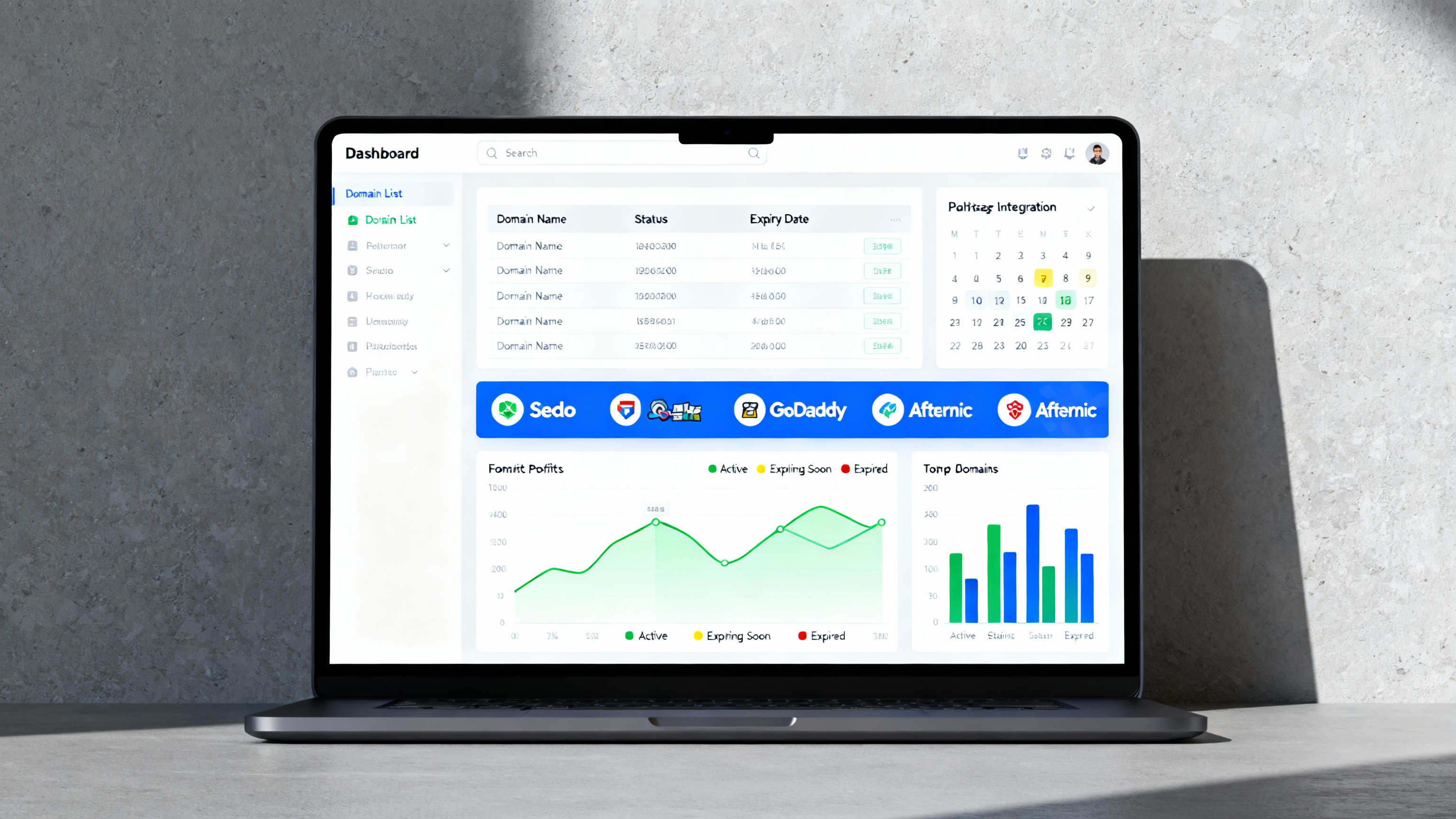 DomainOrganizer Dashboard Preview showing domain portfolio management interface