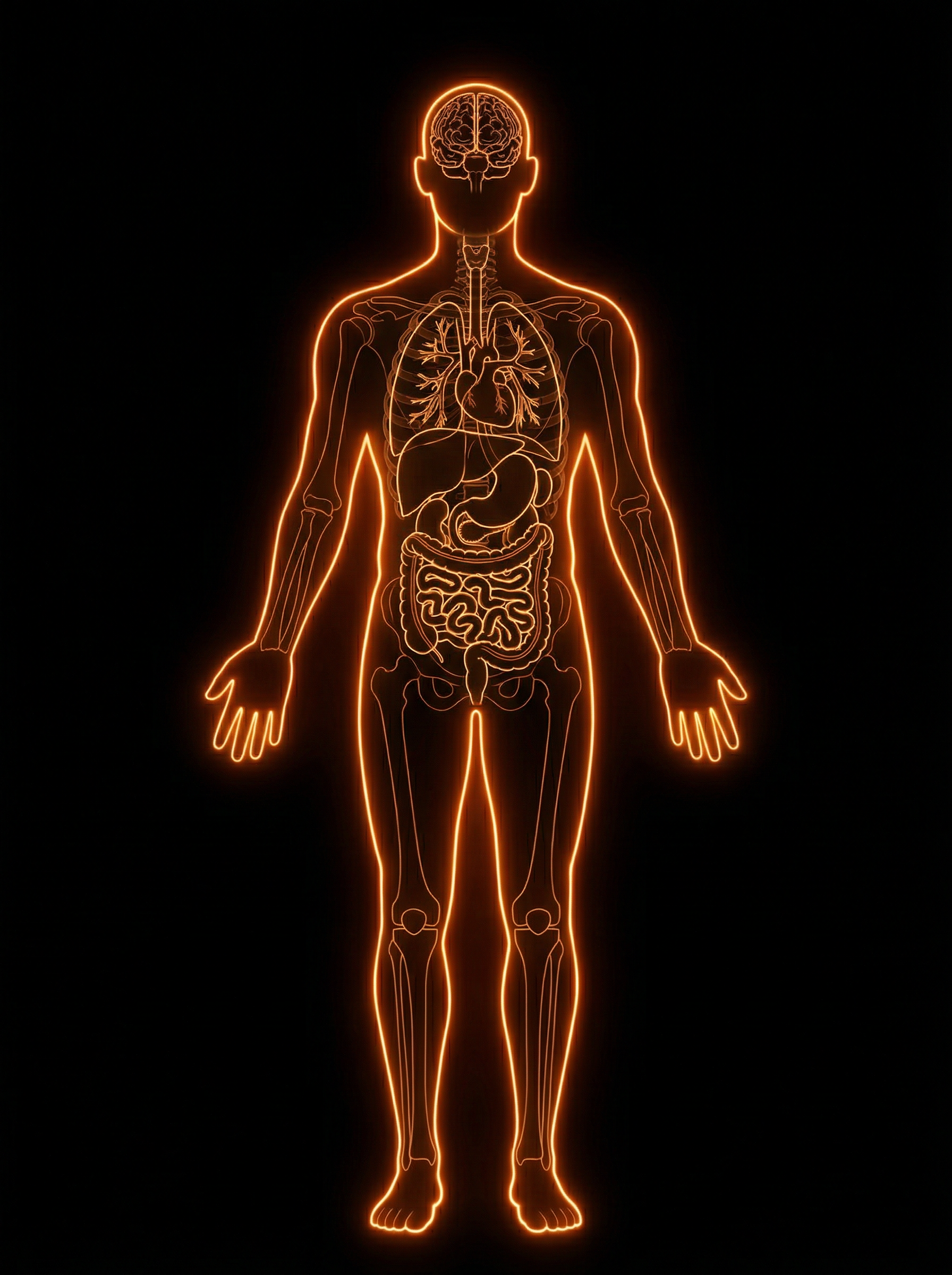 Holographic body map — front view