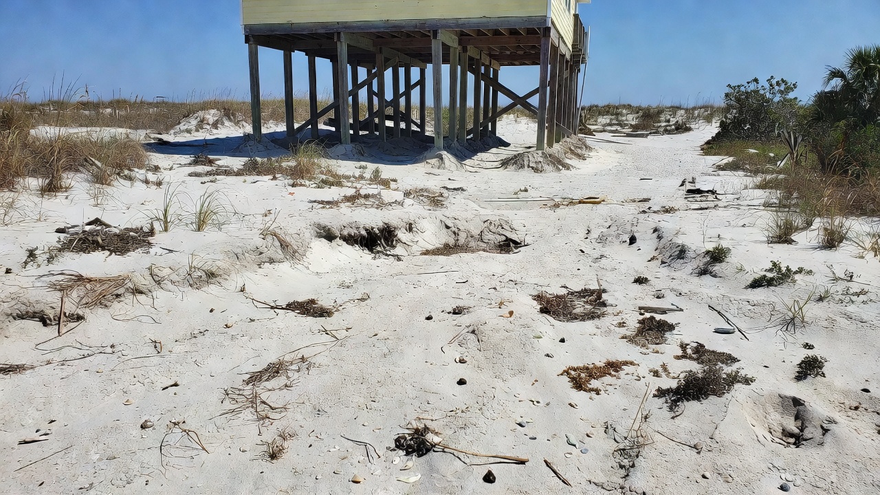 Raw sandy property before professional landscape development
