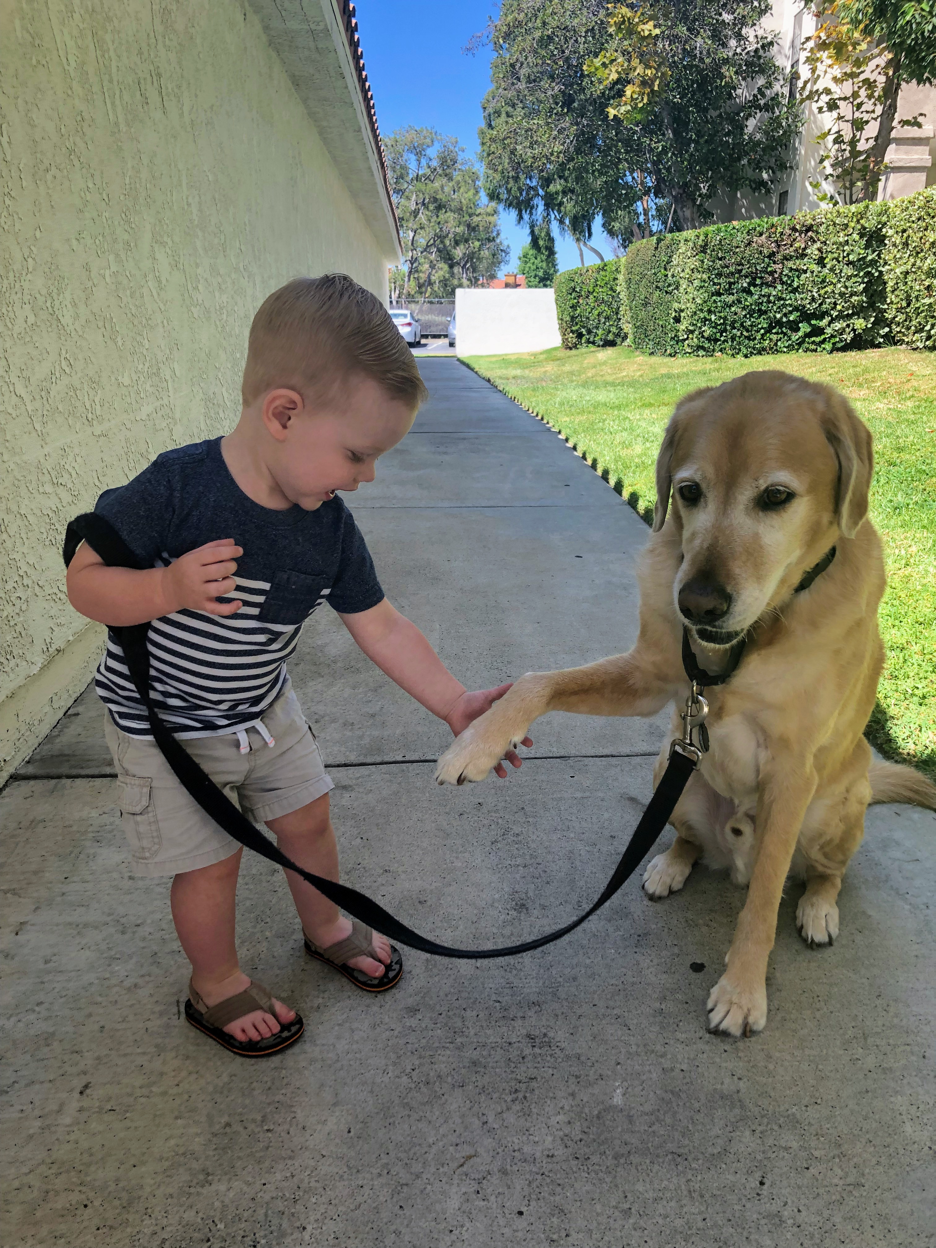 A child reaching out to Brock