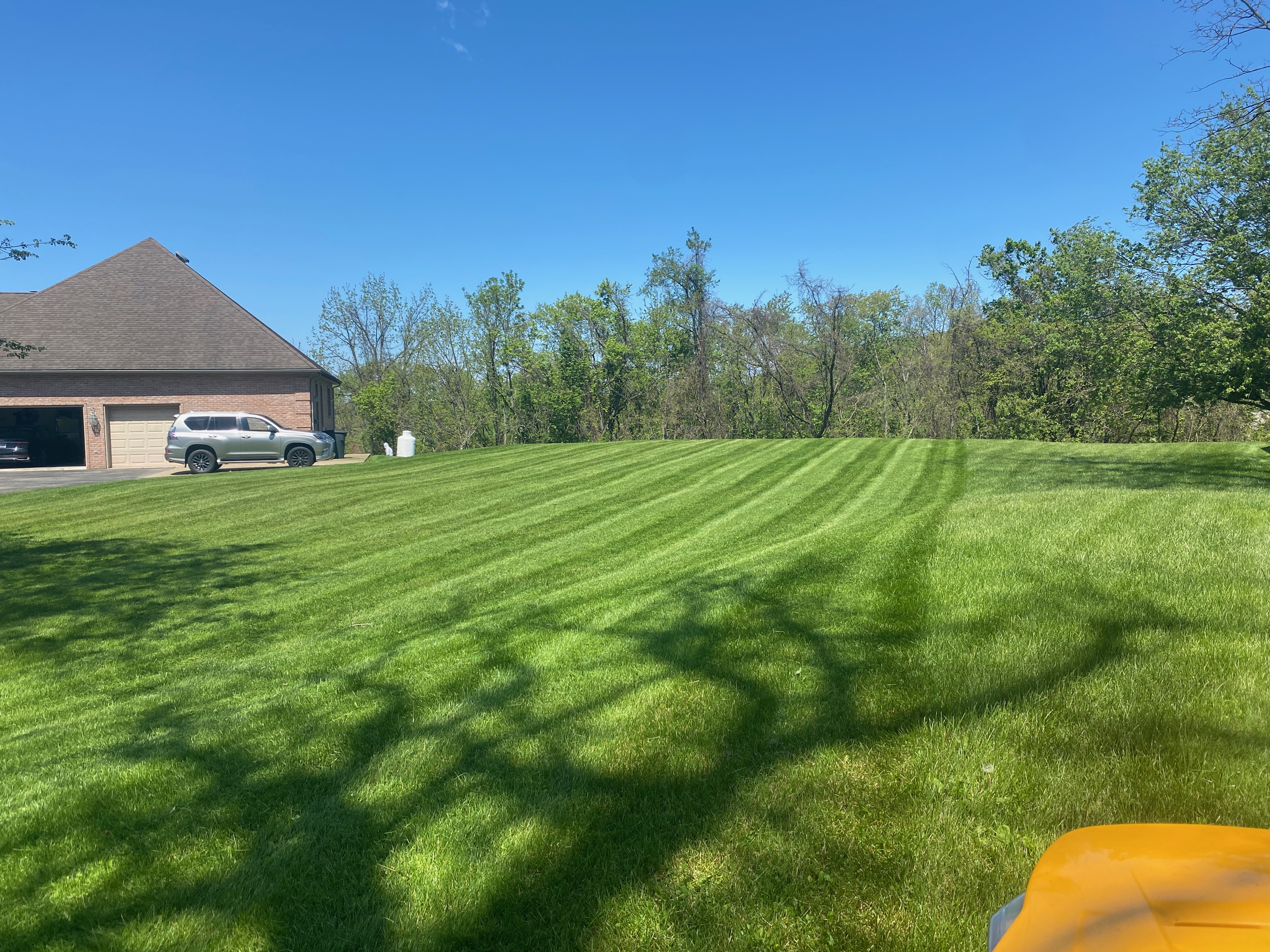 Freshly cut lawn with clean stripes