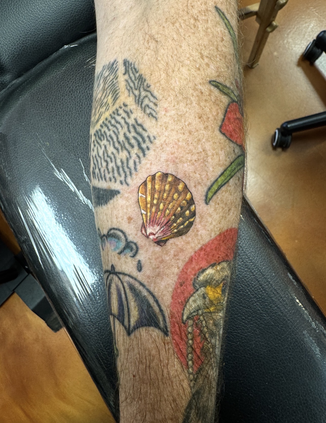 Color shell tattoo by Marc Cabos.