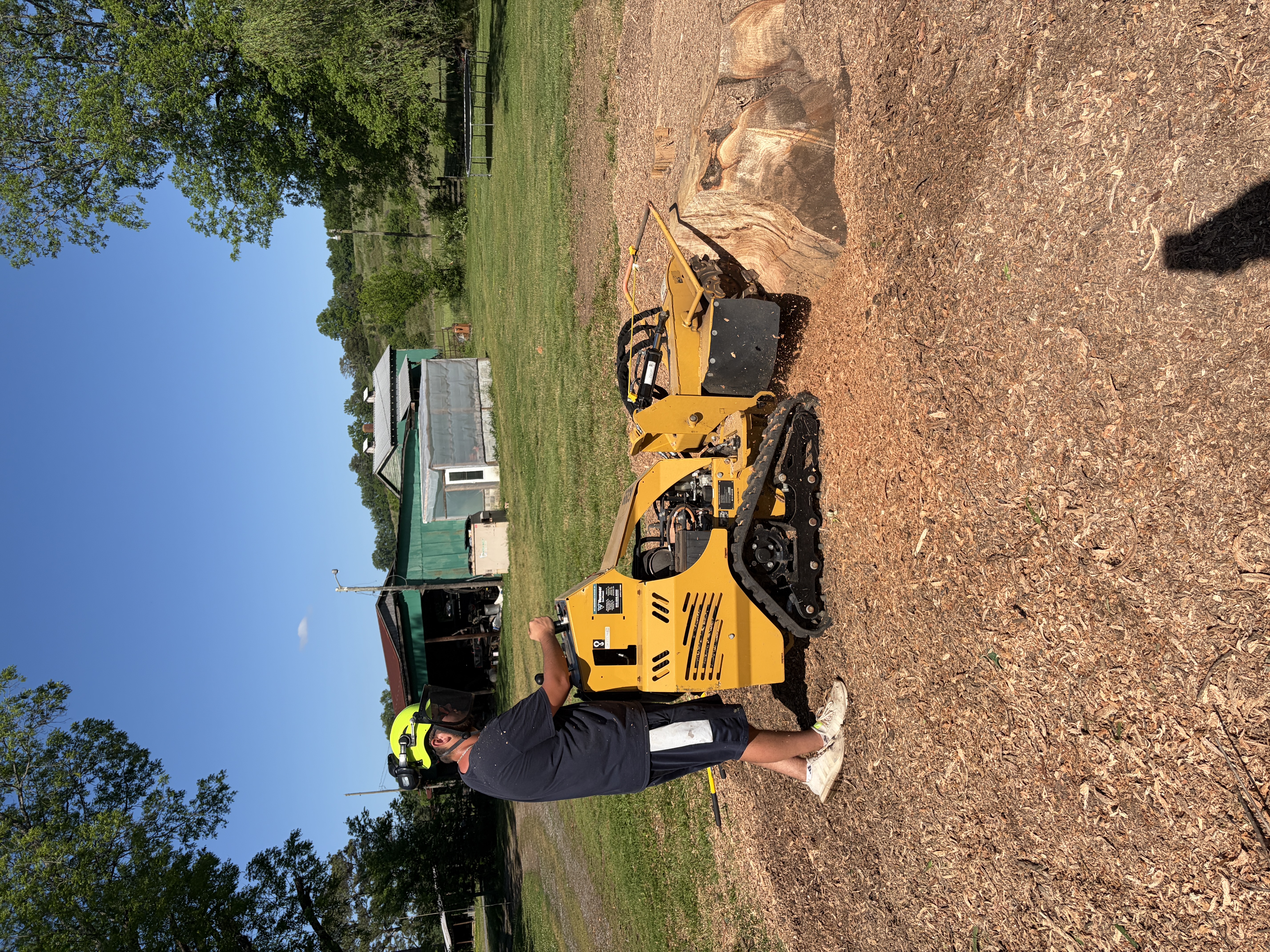 Vermeer Grinder Working on a Large Stump