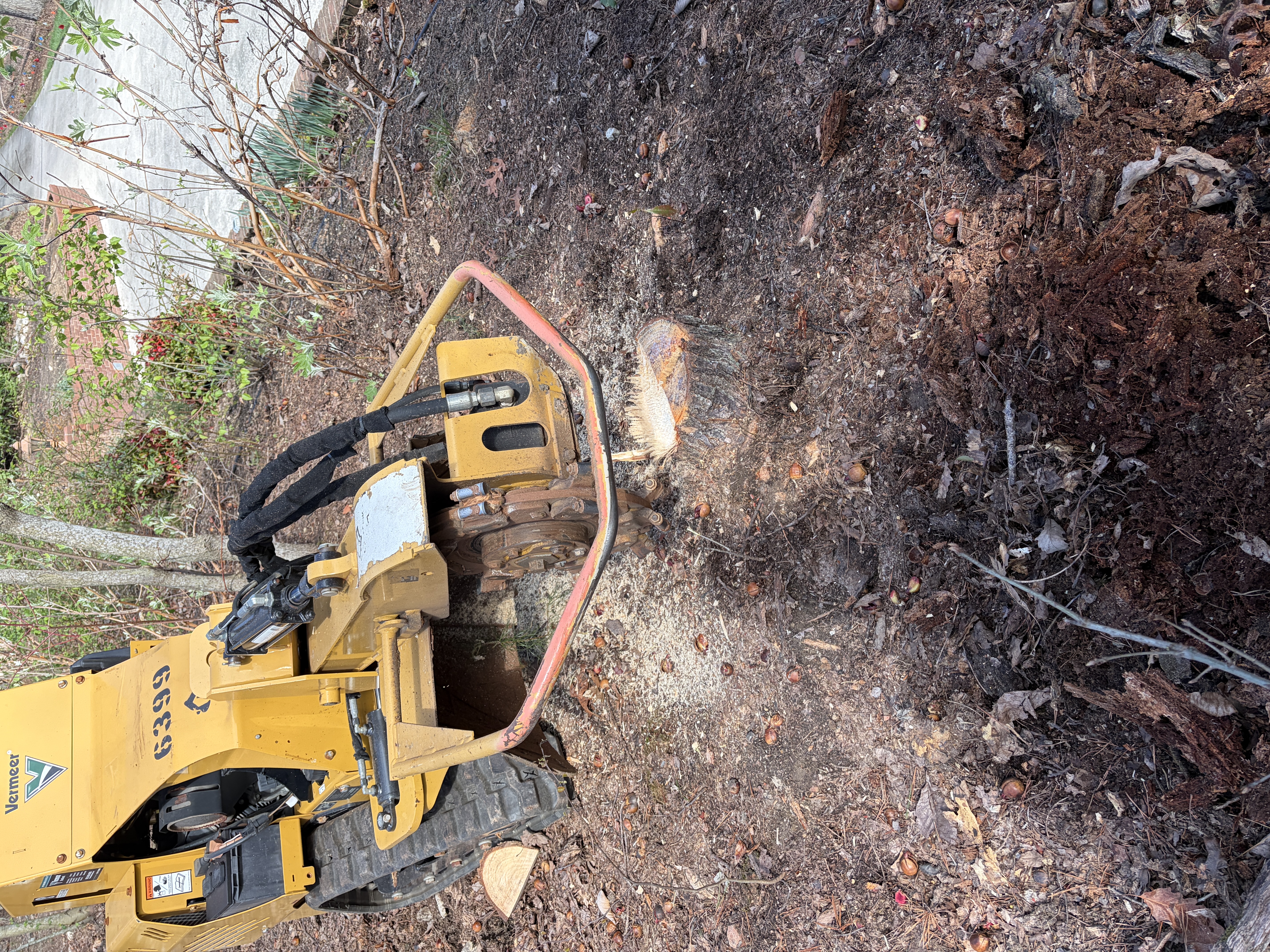 Vermeer Grinder Cutting a Small Stump