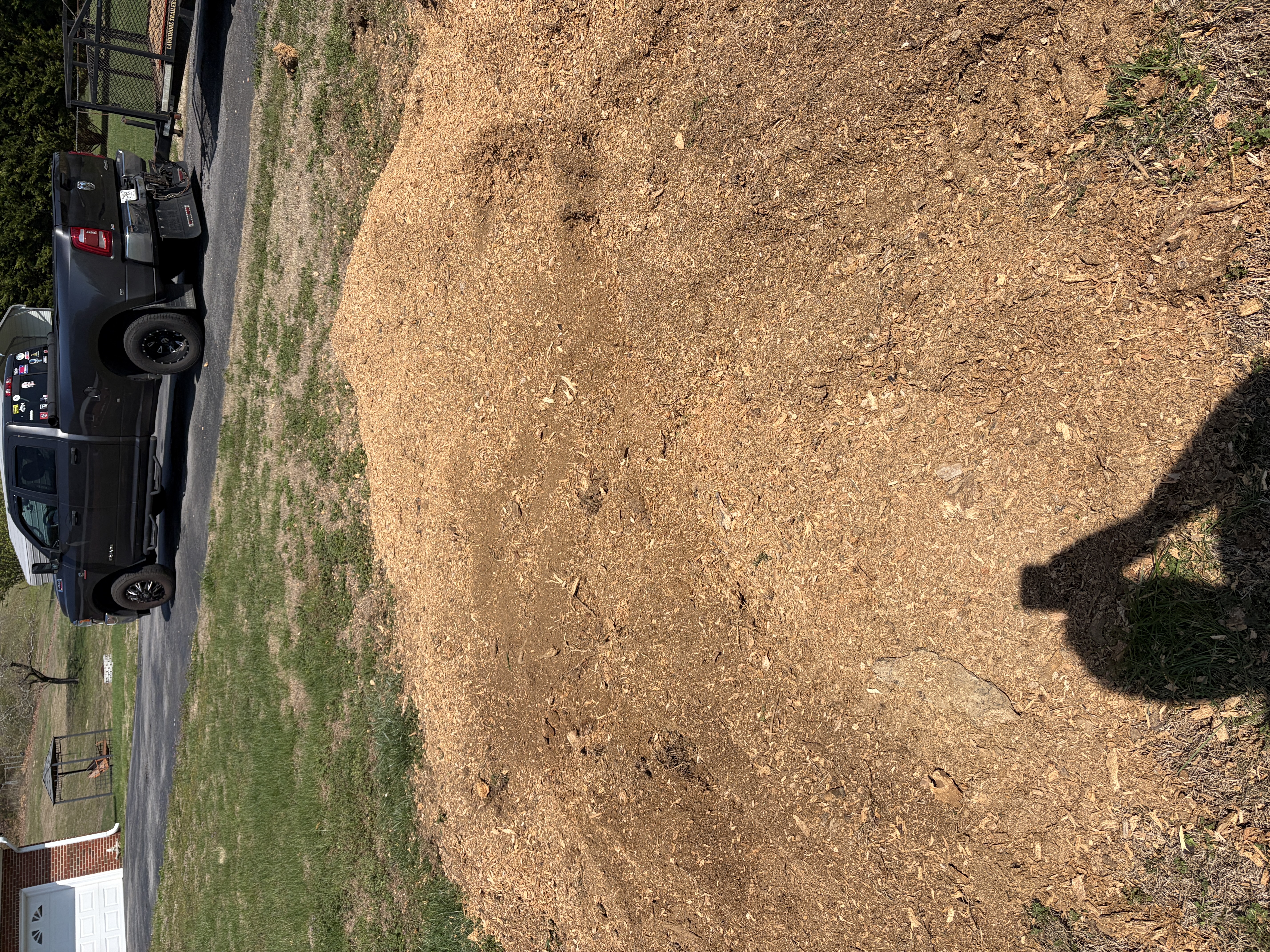 Wood Chips After Stump Grinding