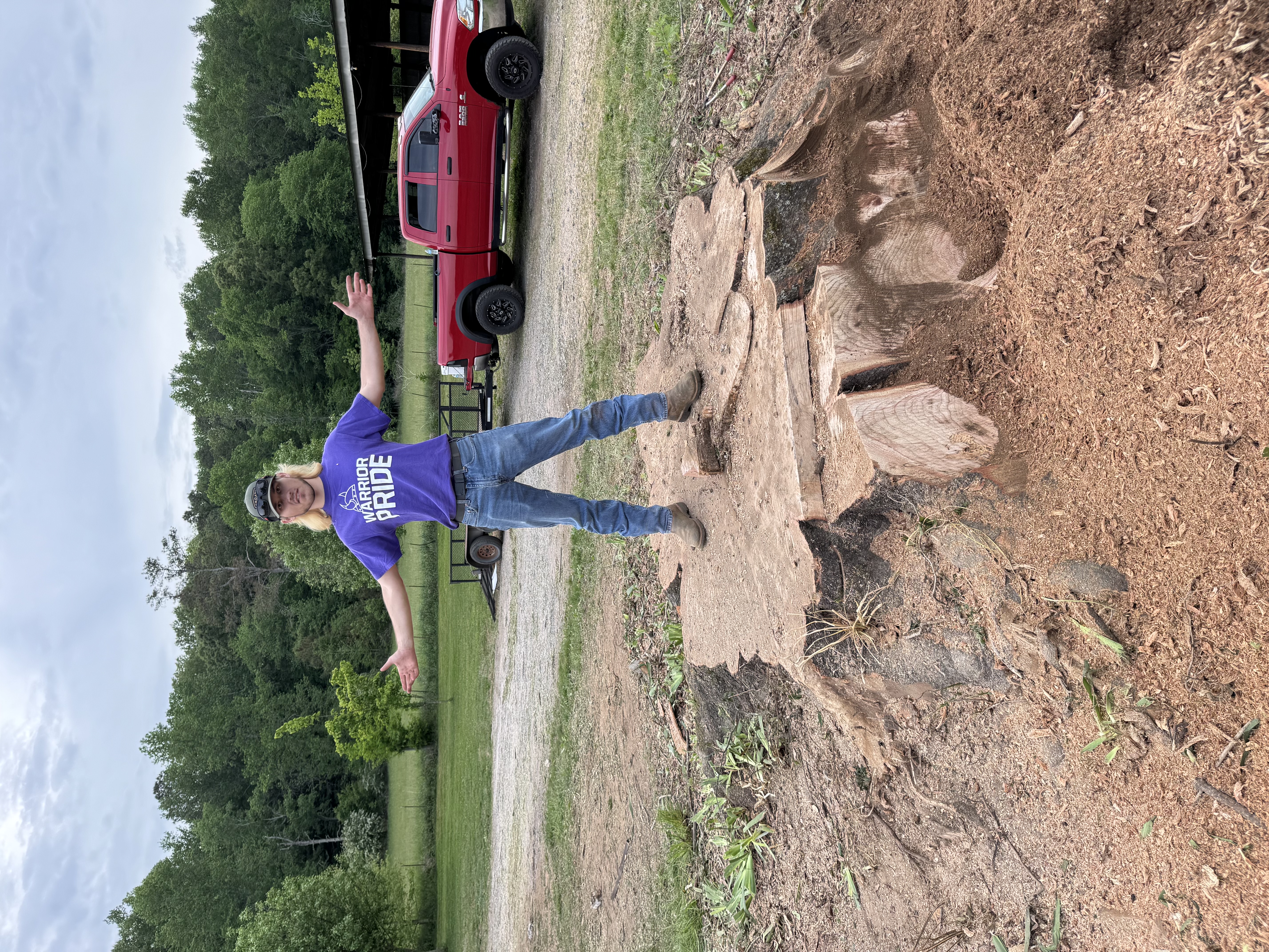 Worker Beside a Large Cut Stump