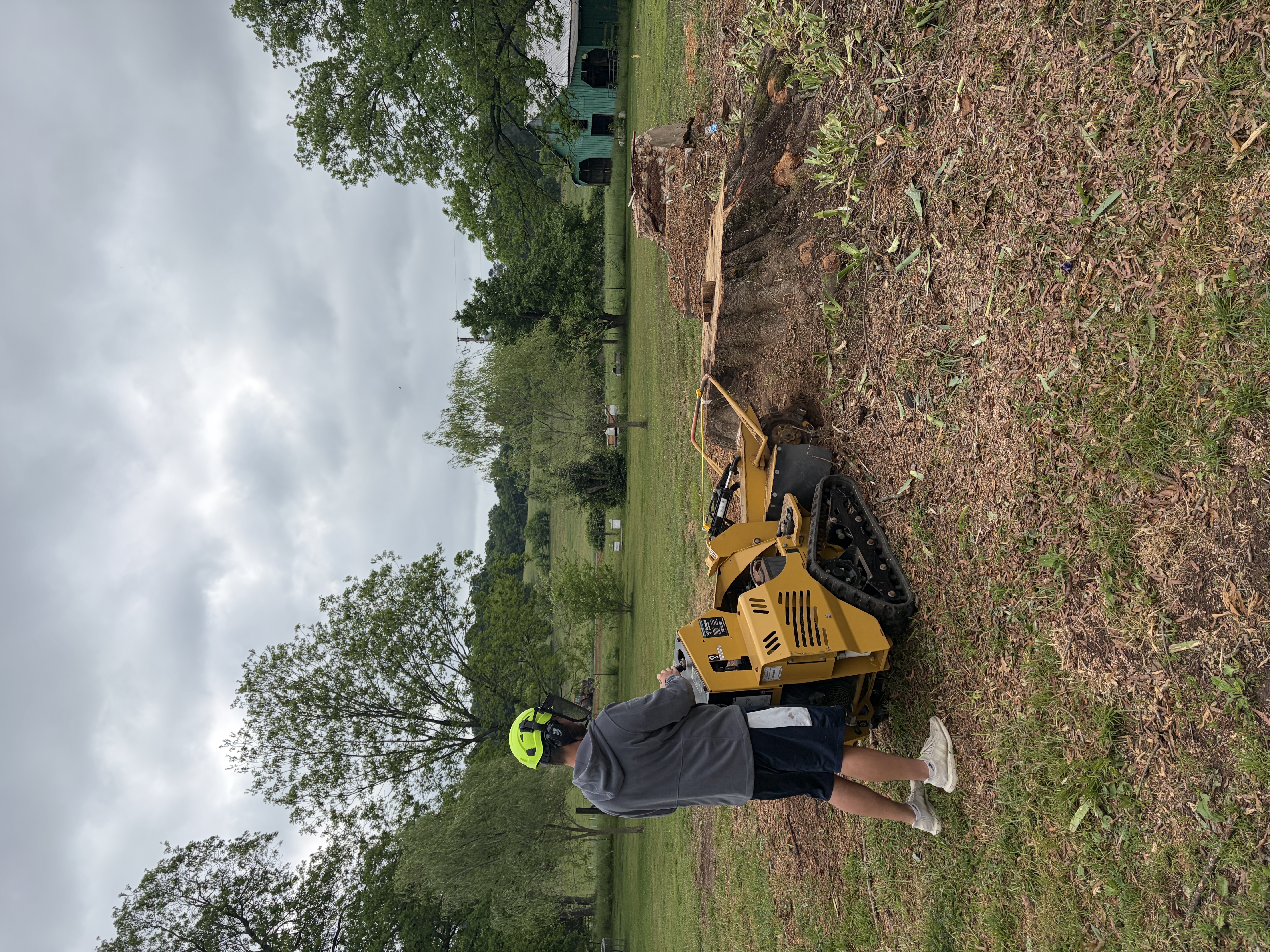 Grinder Working Along a Stump Base