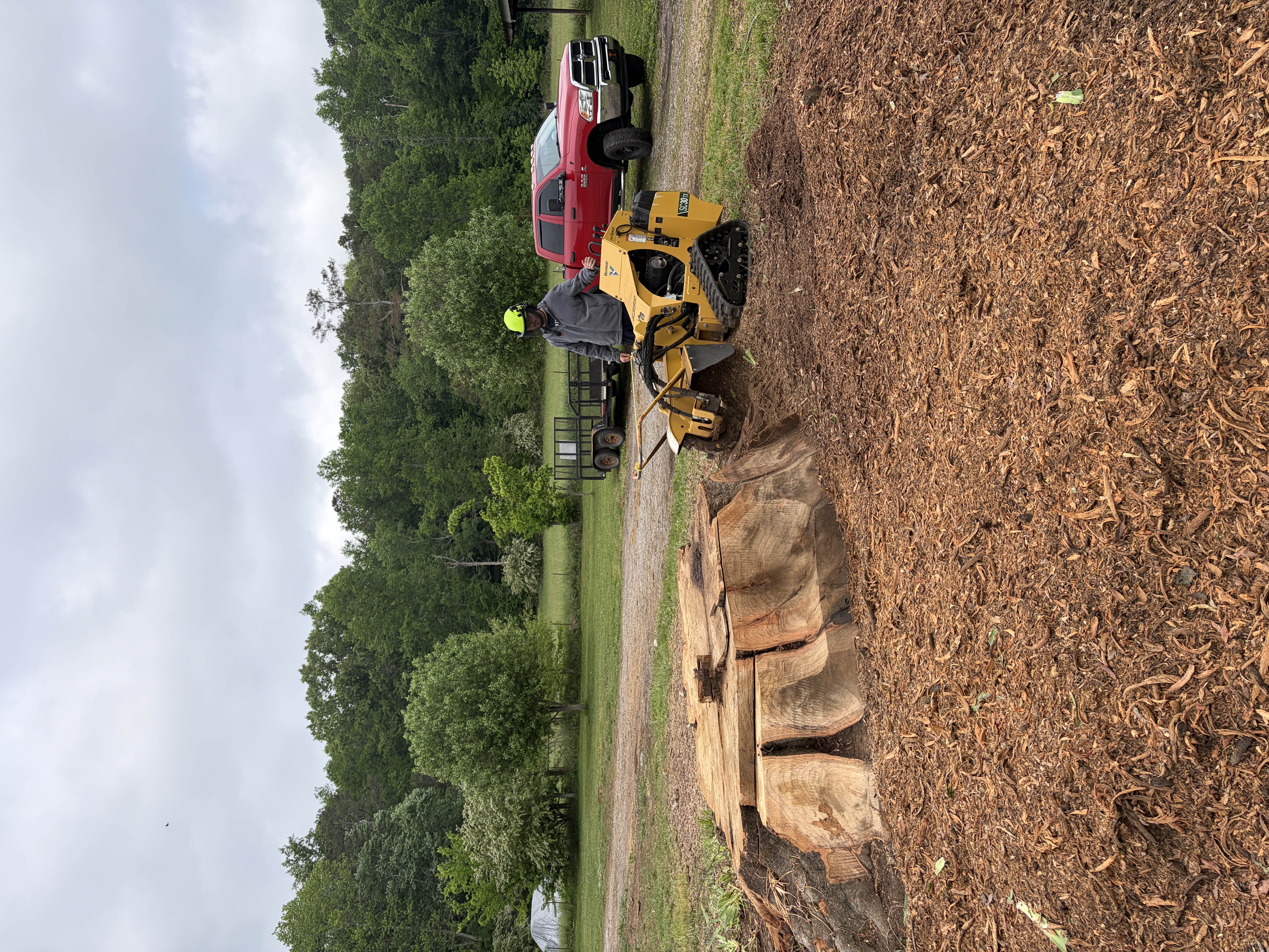 Operator Grinding a Large Stump