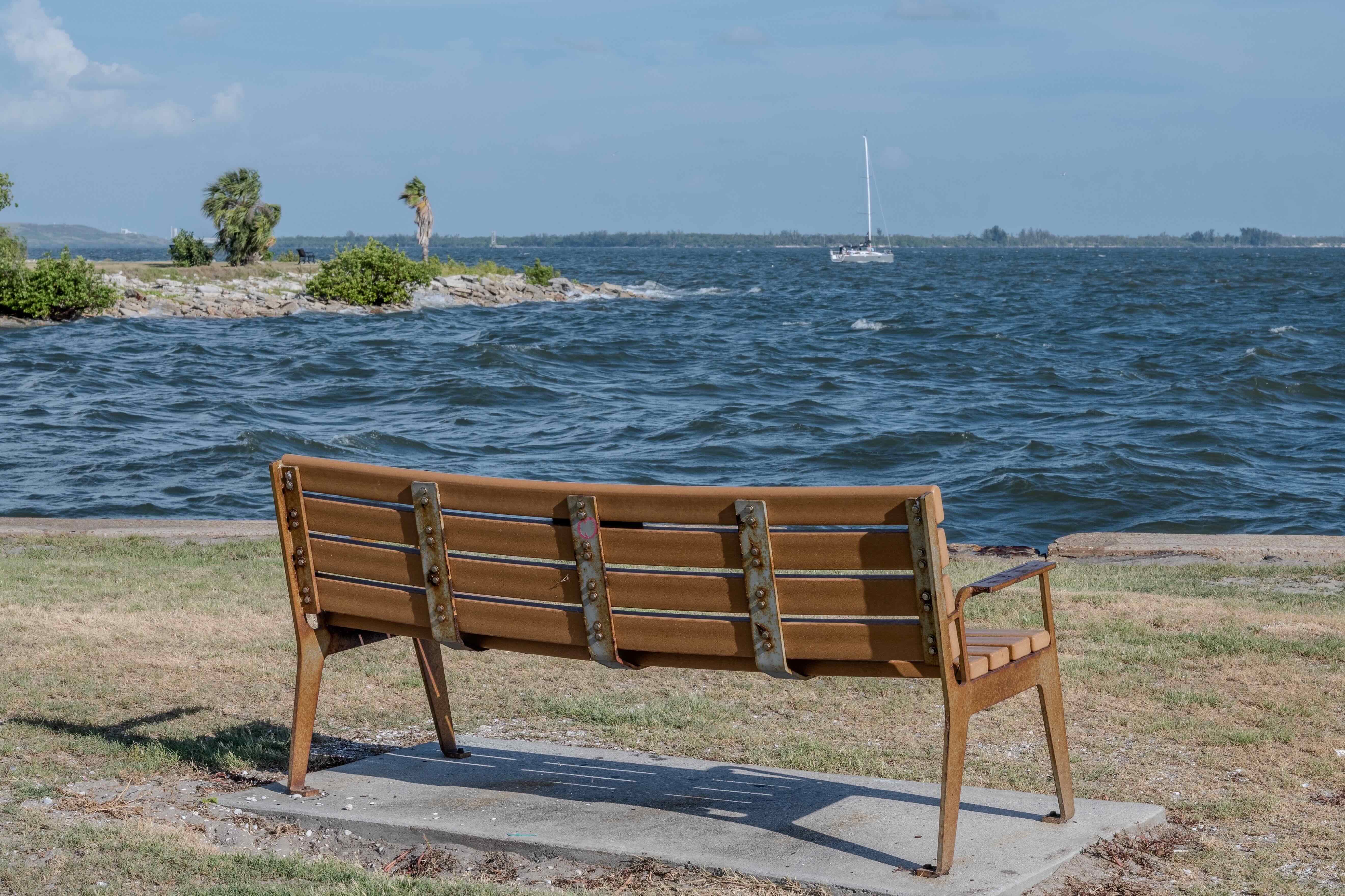 Waterfront Stillness