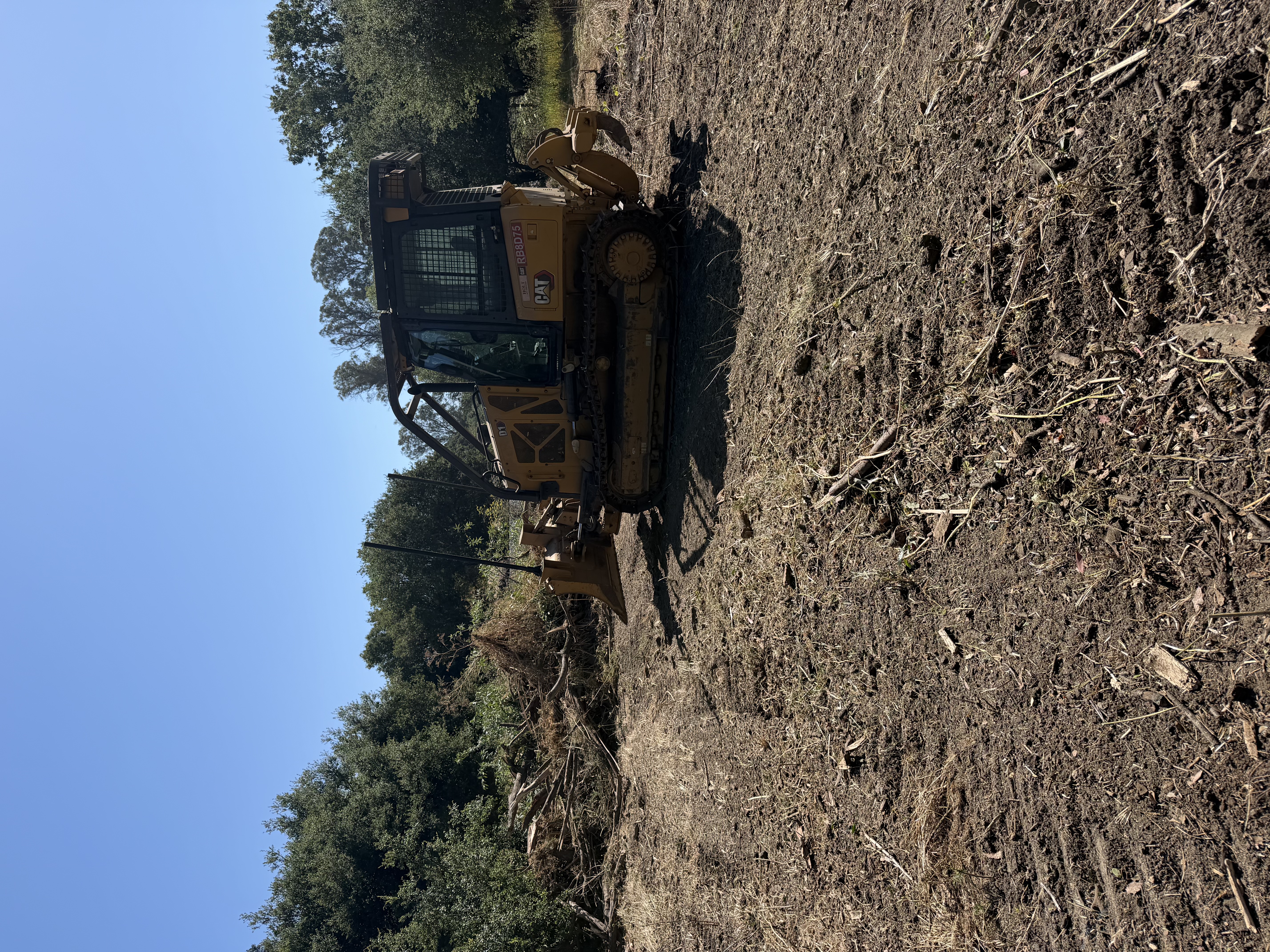 CAT dozer on a cleared jobsite