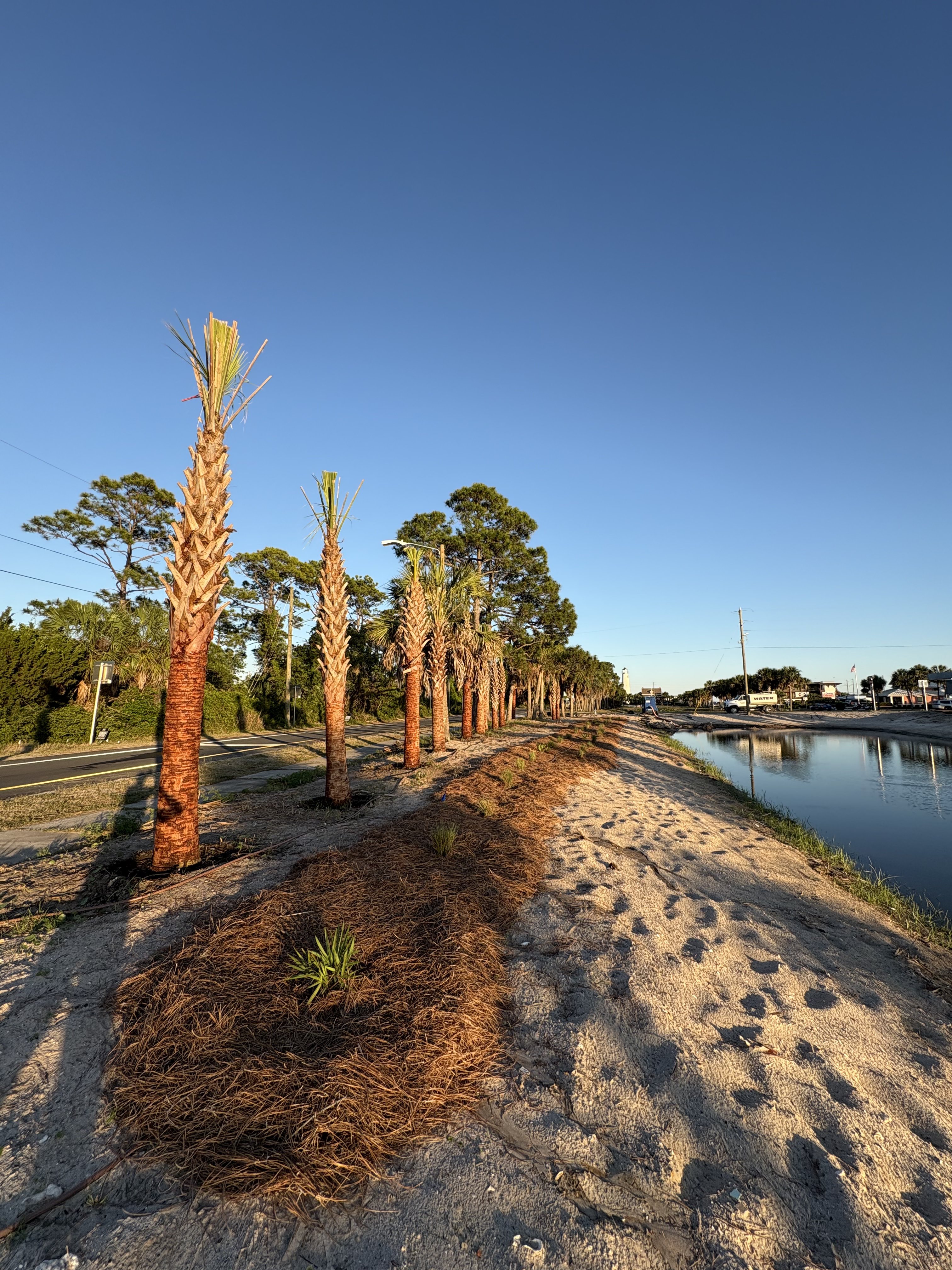 Canal-Side Grading & Palm Groves