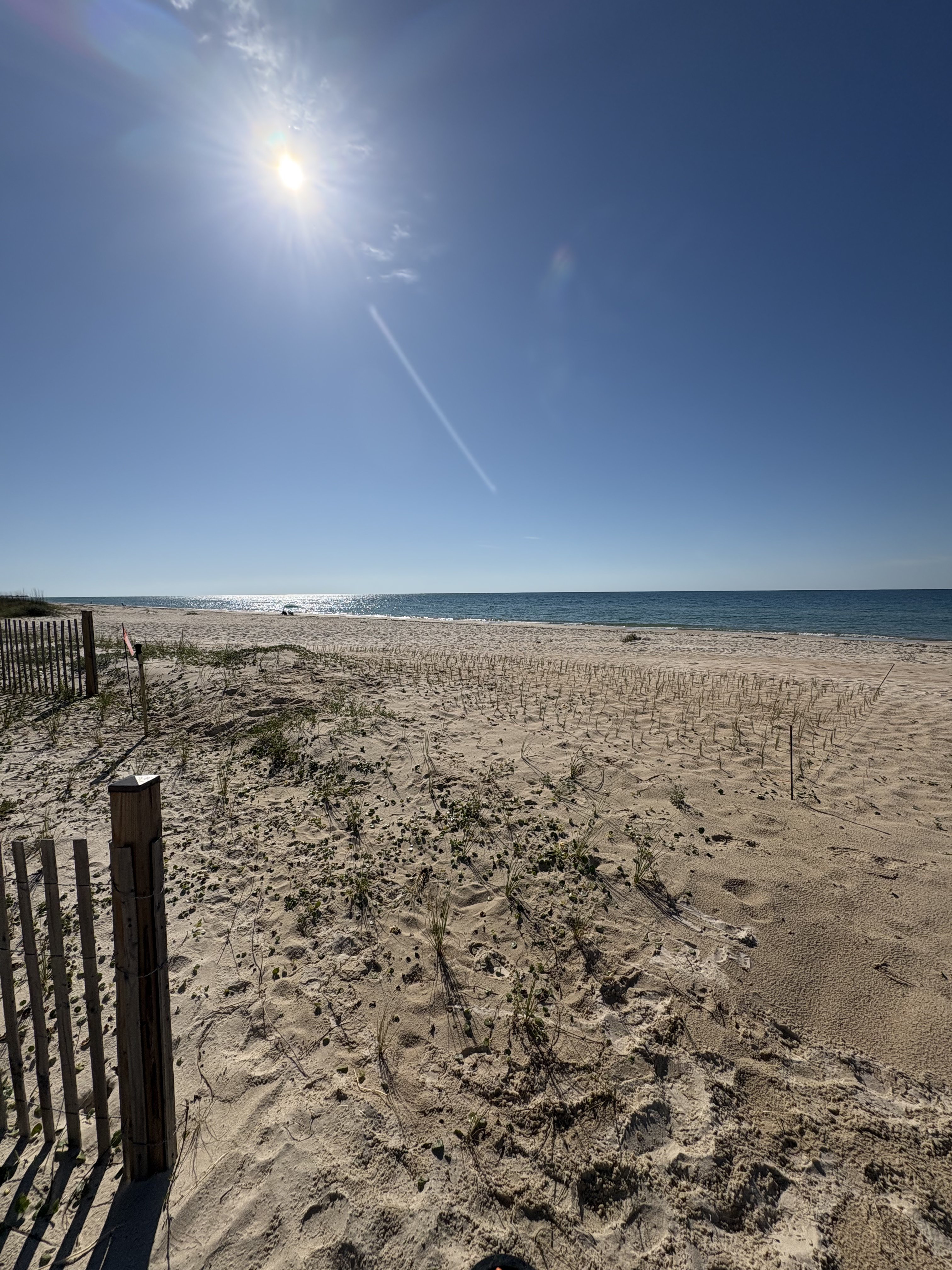 Beachfront Dune Stabilization & Fencing