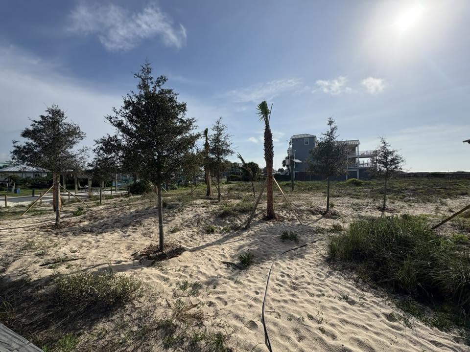 Coastal Dune & Tree Installation