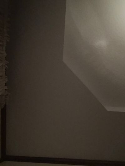 Carl profile photo
