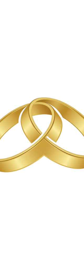 Marriage by the Numbers rings