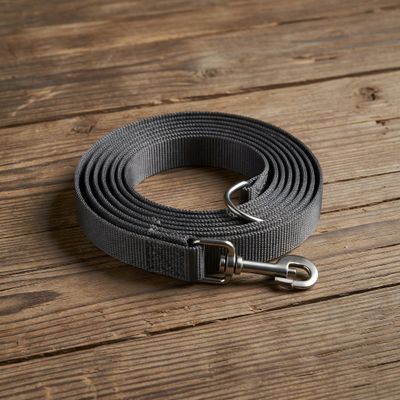 Slip Lead Training Dog Leash
