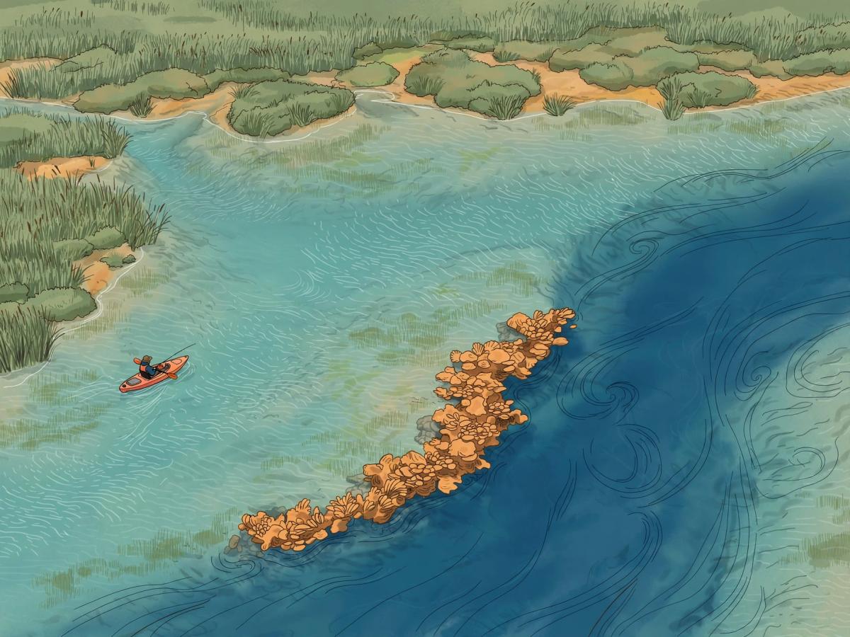 Kayak and Saltwater: Read Tides, Current, and Structure