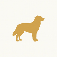 Medium breed silhouette