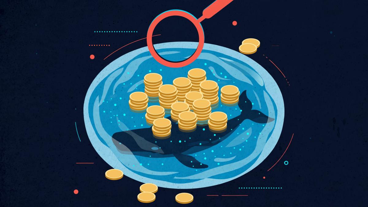 How to Read a Memecoin Top-Holder List Without Mistaking the Pool for a Whale