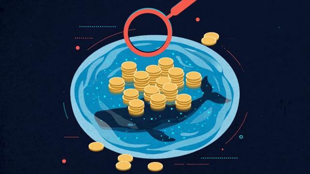 How to Read a Memecoin Top-Holder List Without Mistaking the Pool for a Whale featured image