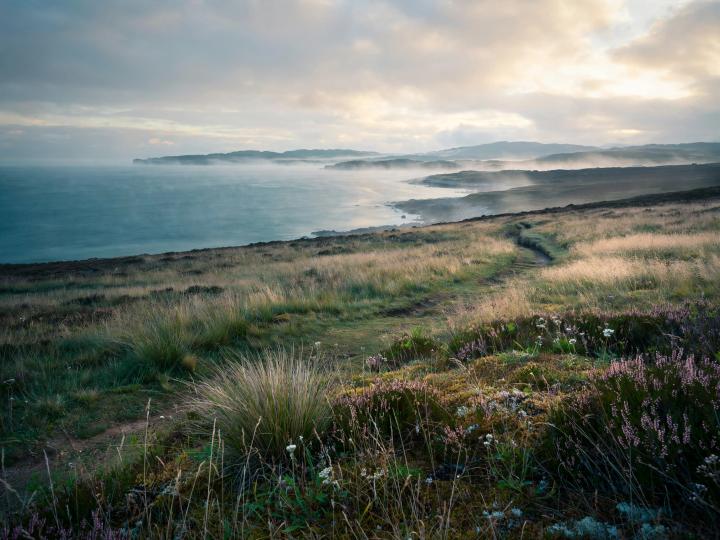 A winding path through coastal grasses above a calm shoreline under a cloudy sky