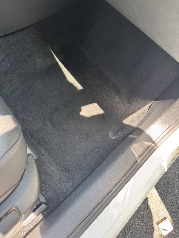 Animal Hair Removal - Carpeted Side Panel