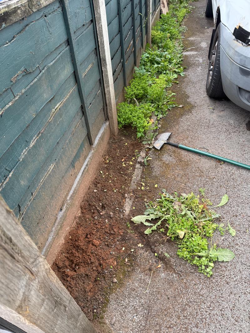 Before photo of an outdoor border with weeds and a shovel