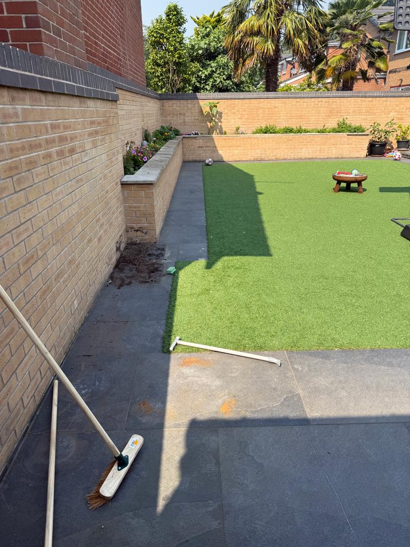 Before photo of an outdoor area before clean-up work