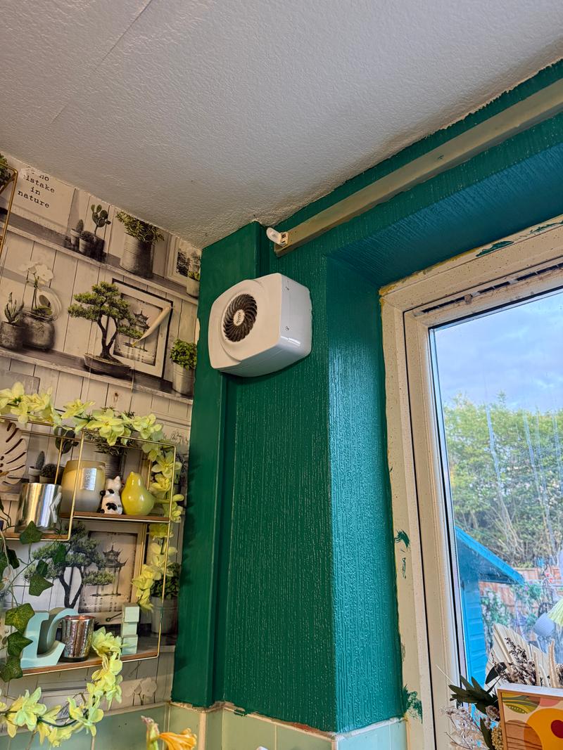 After photo of an interior wall painted rich green in the same room