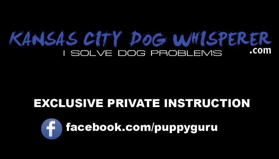 Back of Earl's K9 Services business card — Kansas City Dog Whisperer, I solve dog problems, Exclusive Private Instruction, facebook.com/puppyguru
