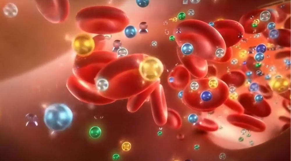 Blood Cell Vitality Validation