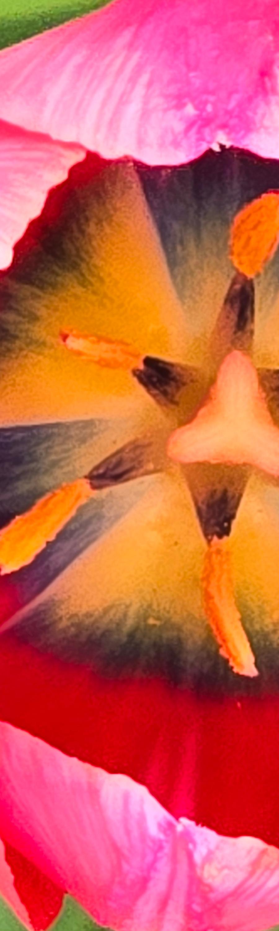 Detailed yellow flower petals catching soft daylight