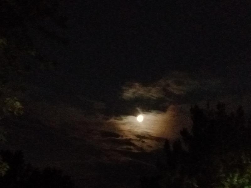 A glowing moon shining through layered clouds above a dark tree line at night