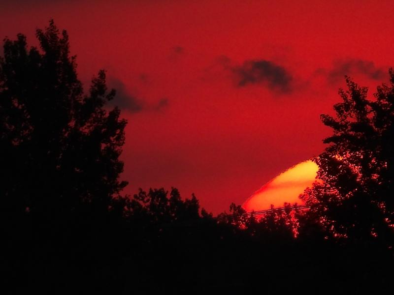 A bright setting sun glowing between dark trees beneath a deep red sky