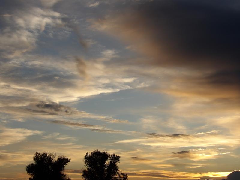Layered clouds lit in gold and blue above a low line of silhouetted trees