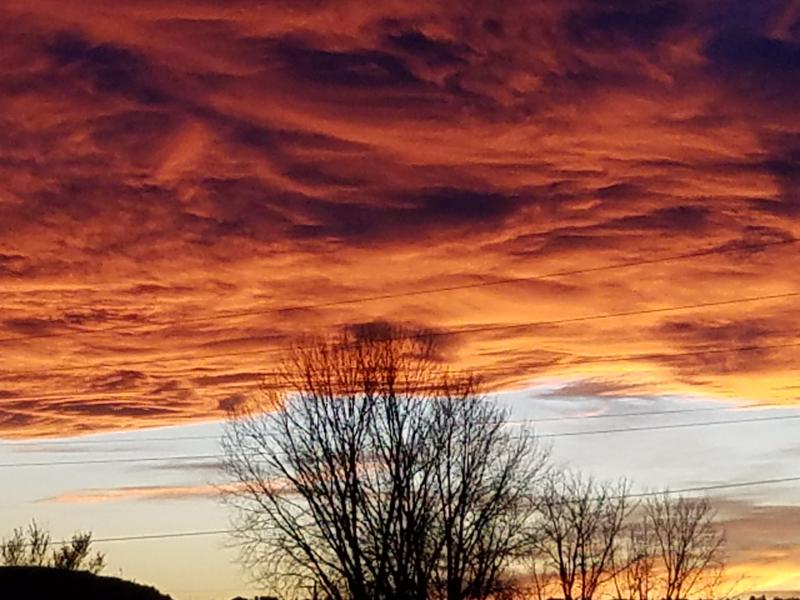 Layered red-orange cloud bands above warm open land and pale water, with a quiet line of dark leafless trees