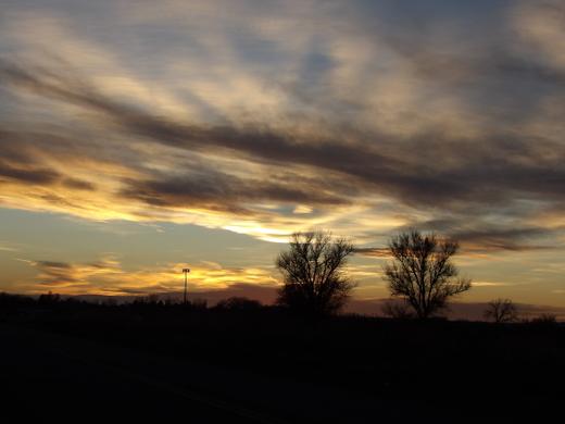Layered clouds glowing above a dark tree line