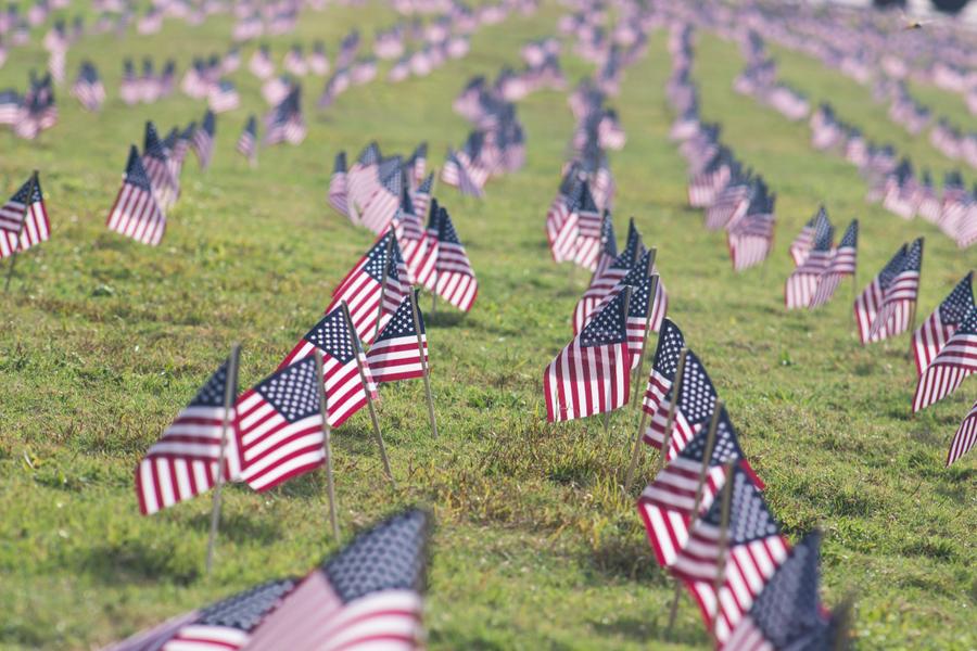 Rows of American flags set across a grassy field