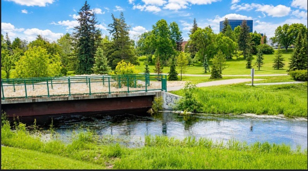Camrose Flood Recovery Update: Jubilee Park Reopens, Creek Safety Still in Effect